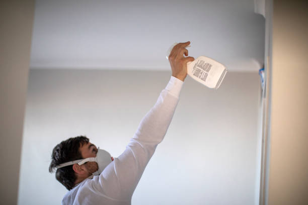 Best Local Mold Removal Service  in Grifton, NC