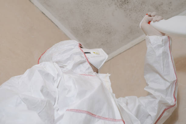 Office Mold Removal Services in Grifton, NC